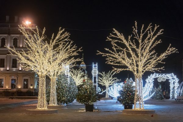 Зимний сад3-min Зимний сад3-min